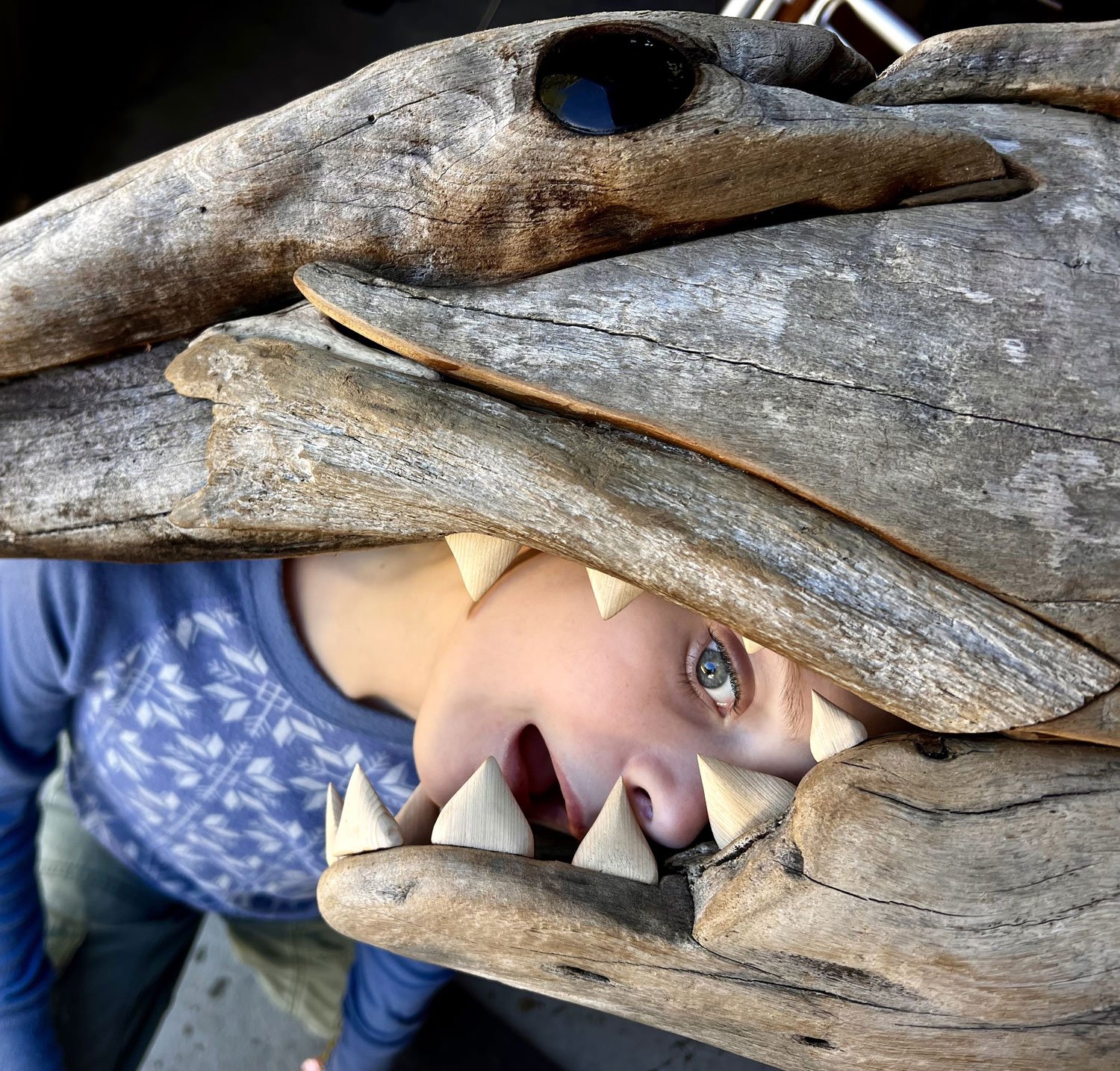 Driftwood Sculptures: A Food Web