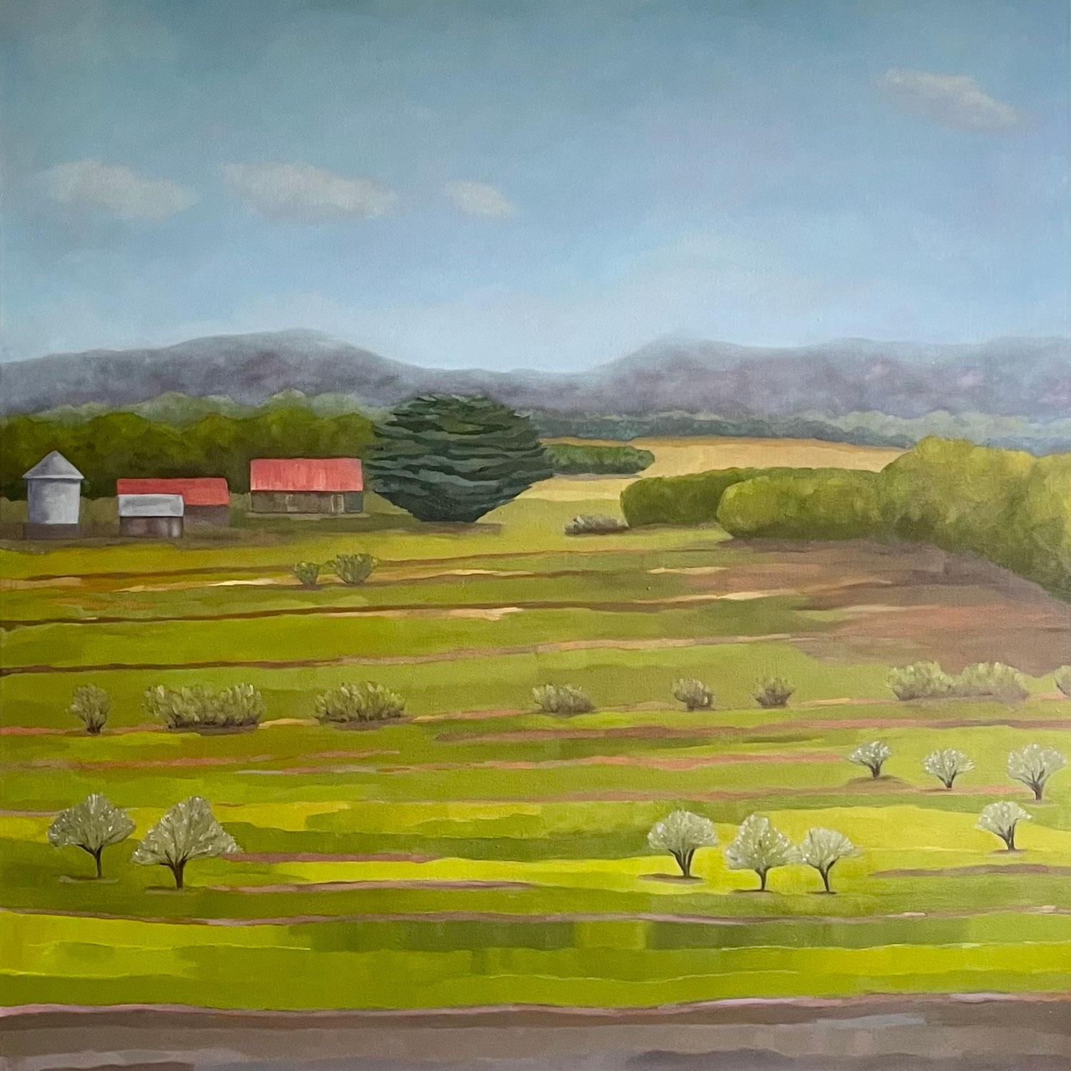 A Month in the Midlands