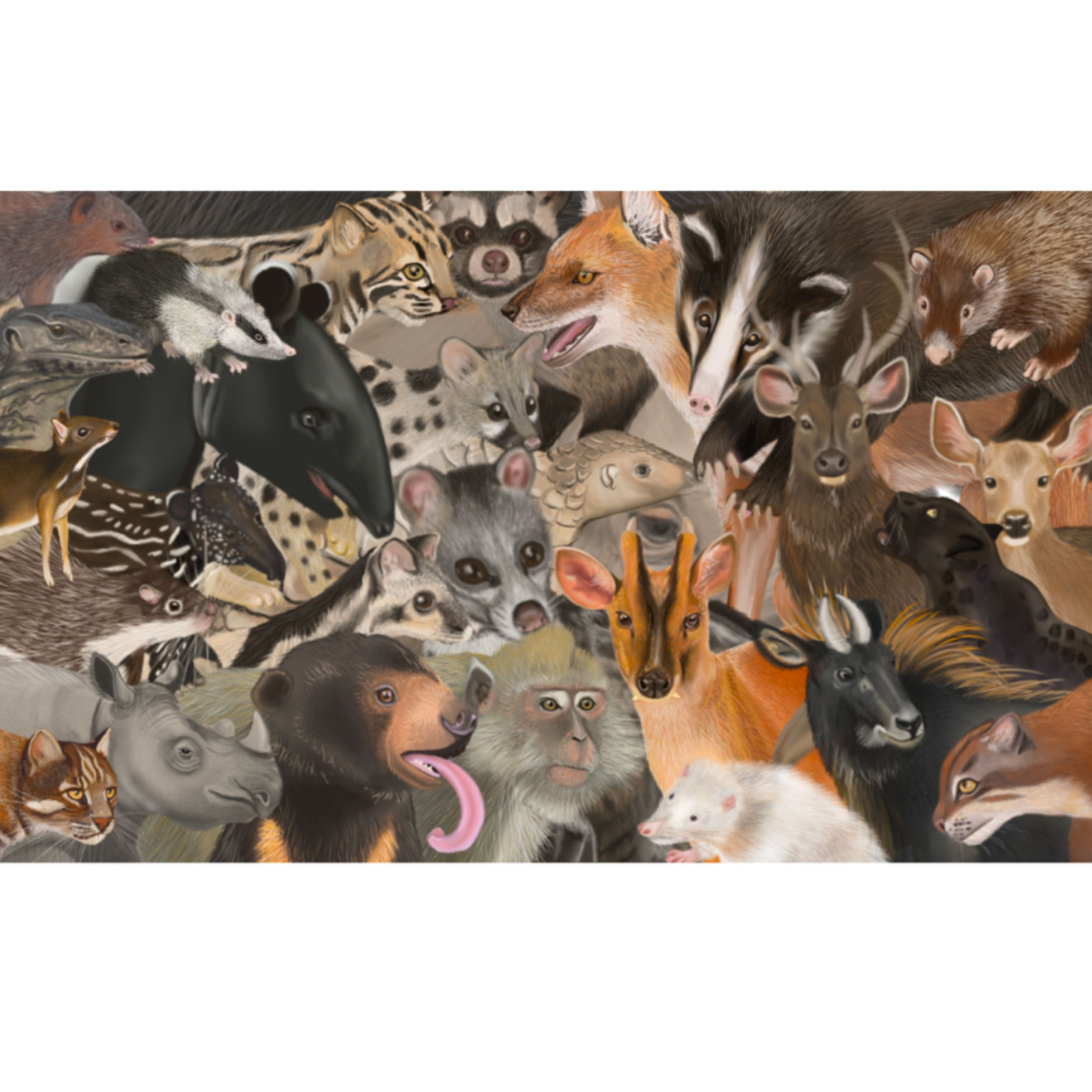 Tamzin Talking Animals Art