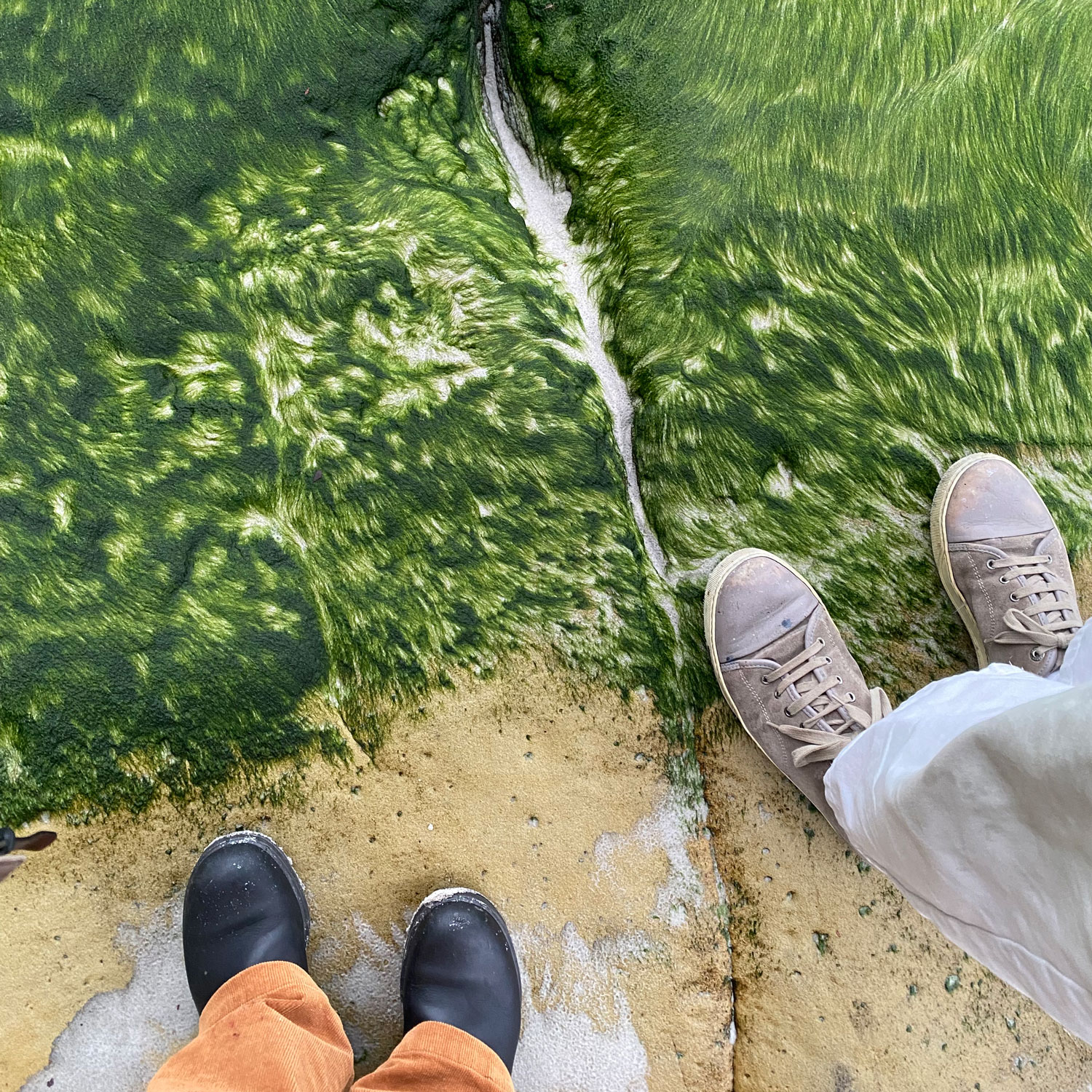 An Island, off an Island, off an Island