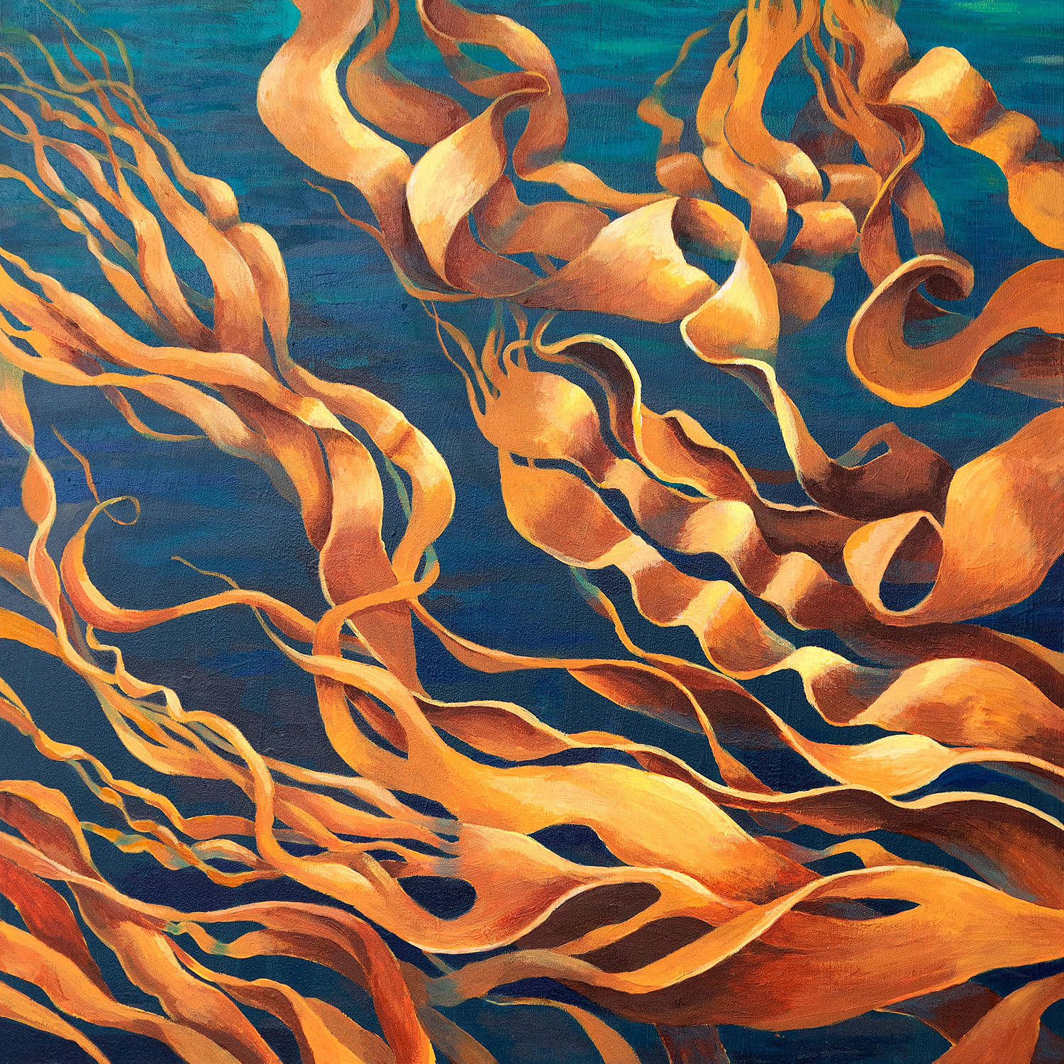 Kelp and other marine algae