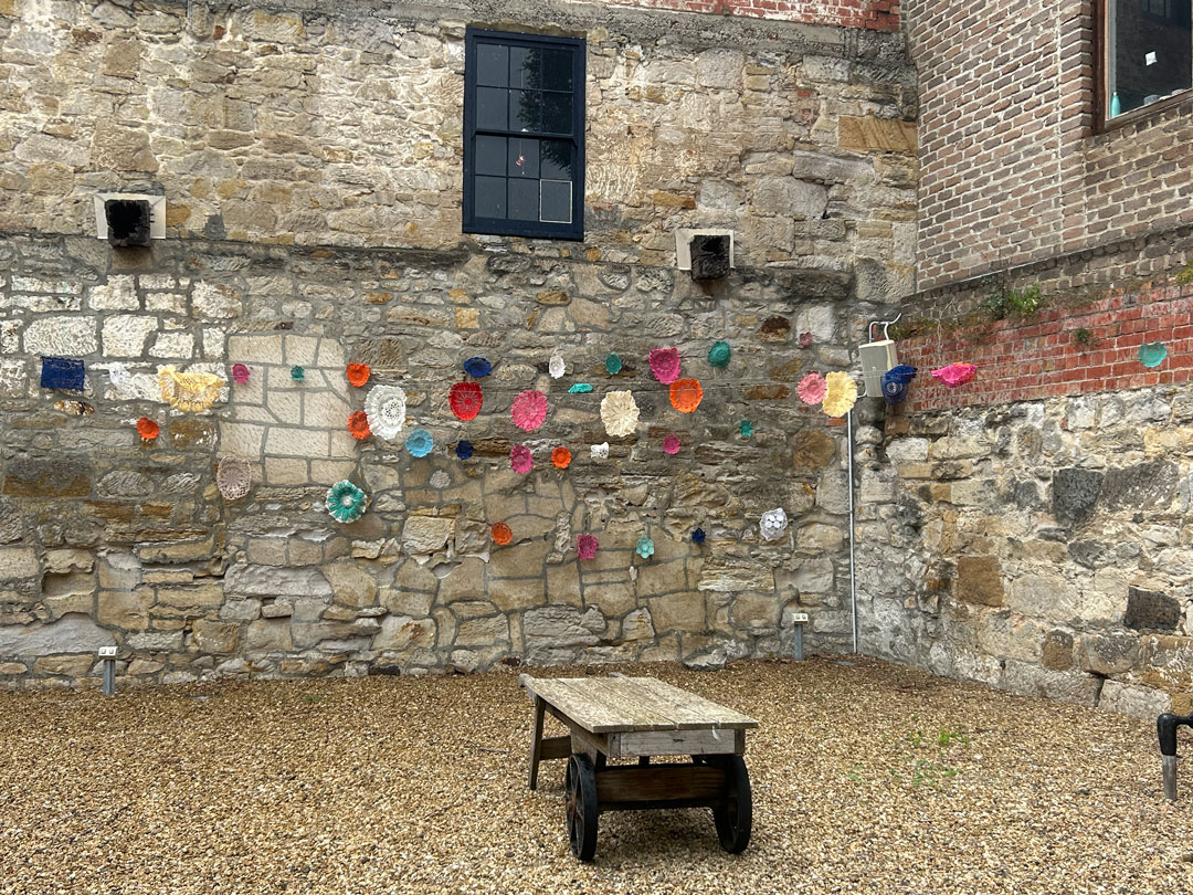 Mrs Kelly’s Garden