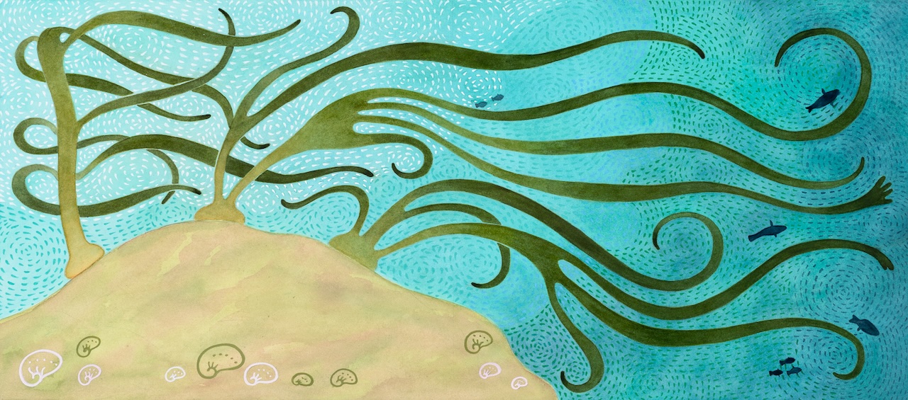 ‘In the Kelp Forest’ – Beneath the Waves