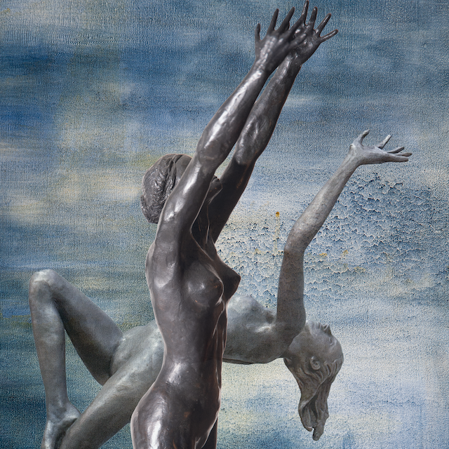 Embodied Bodies