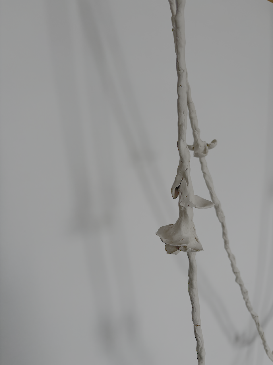 Life Threads